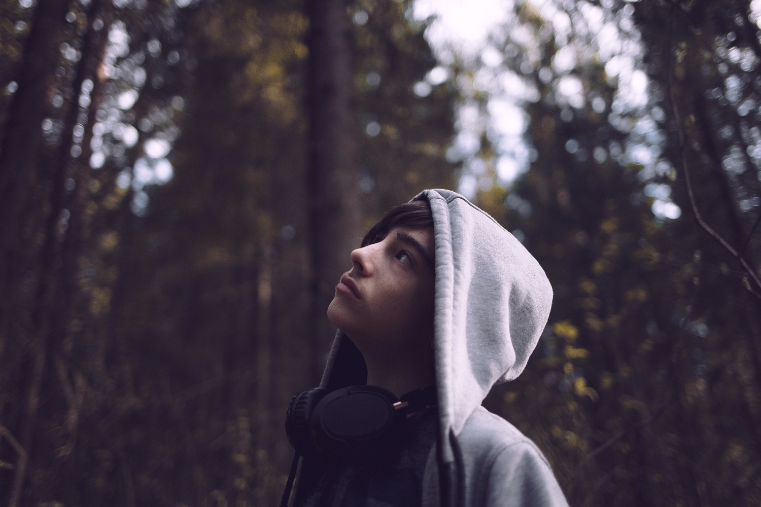 Teenage boy wearing a hoodie looking up into trees in a forest